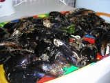 moules marinieres (slavky po namornicky)