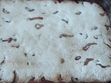 Slivkový koláč s orechami