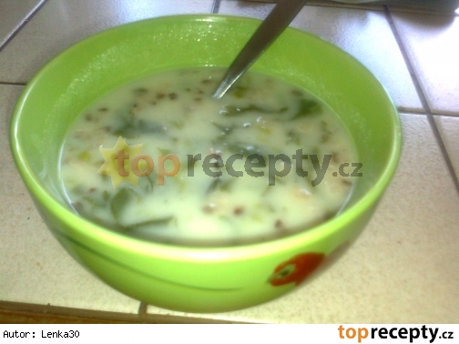 Šalátová polievka / Salátová polévka