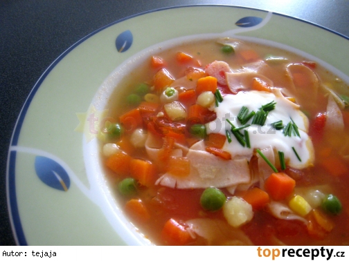 Zeleninová polievka so šunkou